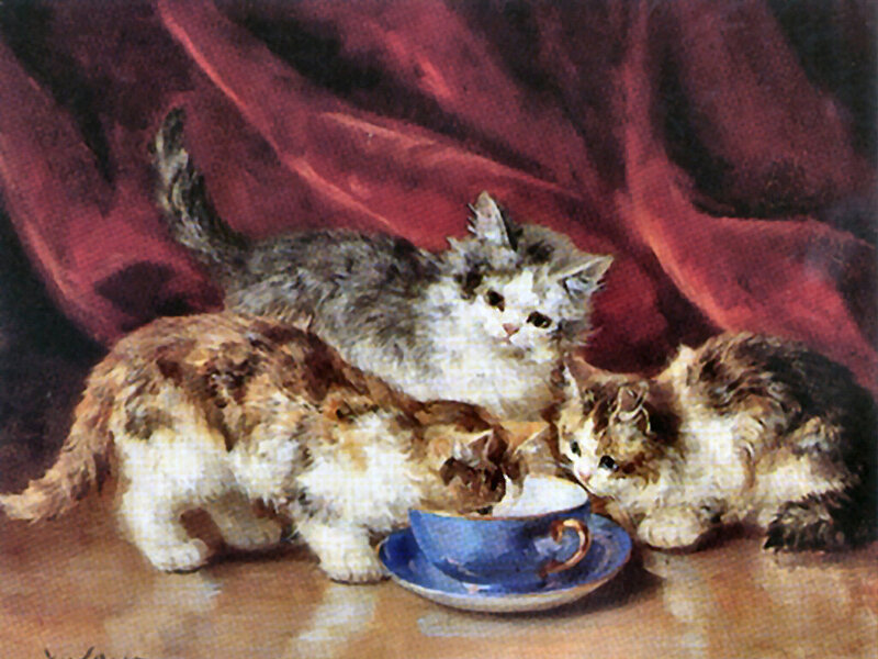 Three Kittens Drinking