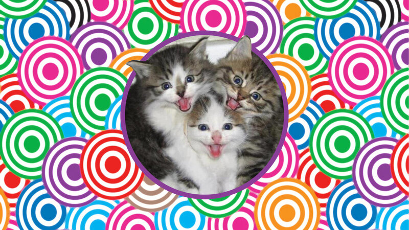 Three Kittens in a Circle