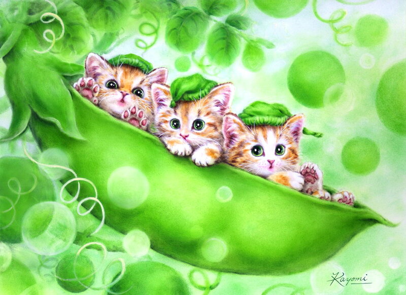 Three Kittens in a Pea Pod