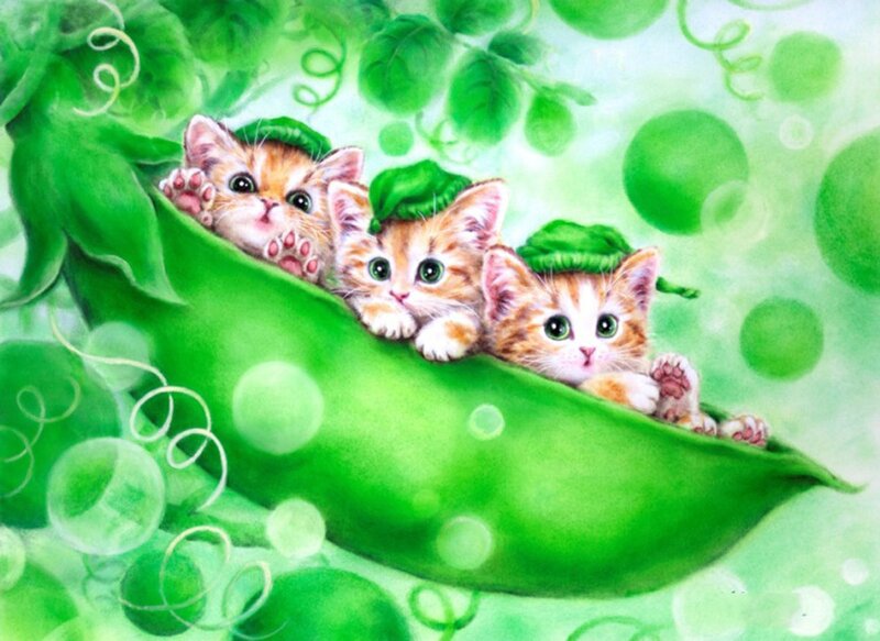 Three Kittens in a Pod — Green