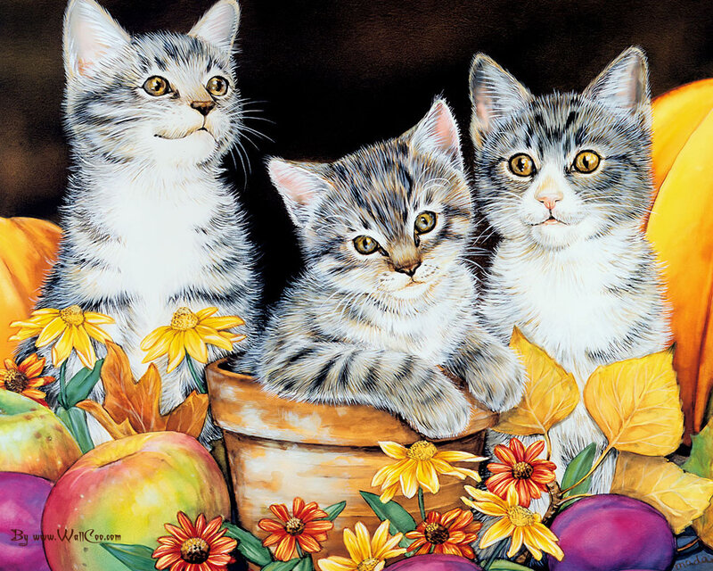 Three Kittens in a Pot
