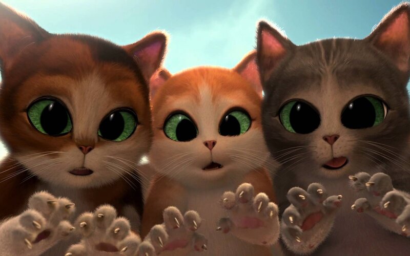 Three Kittens in a Row — Orange