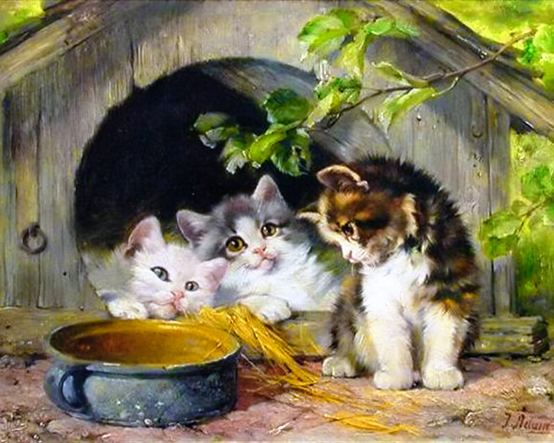 Three Kittens in a Shed