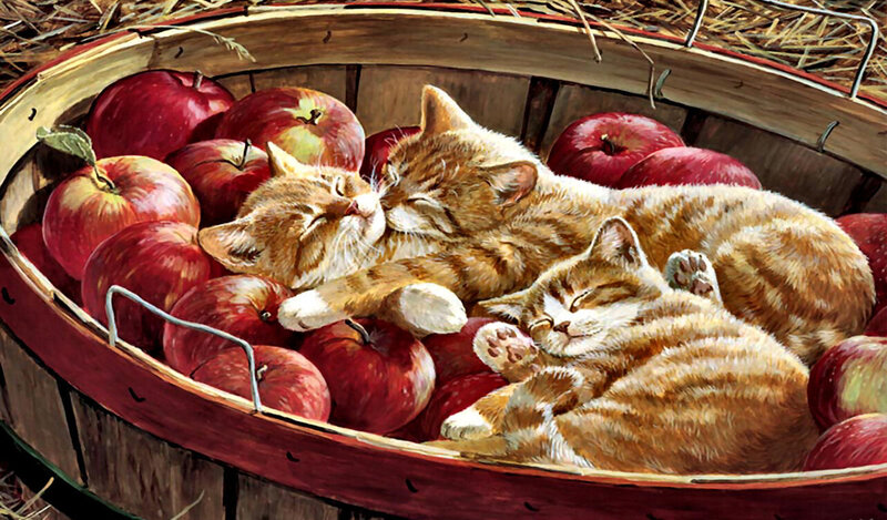Three Kittens in Apples