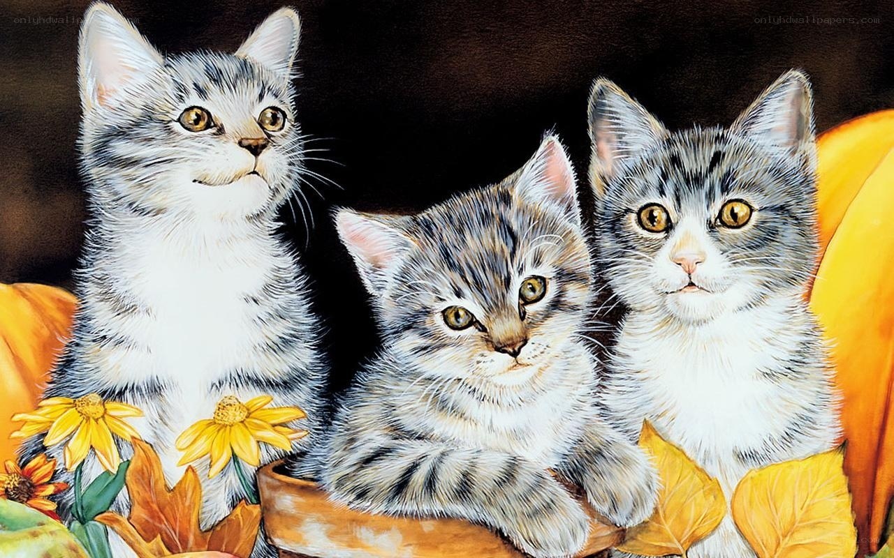 Three kittens in autumn leaves