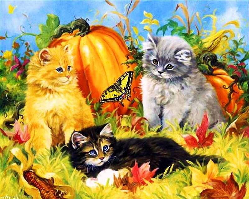Three Kittens in Autumn — Orange, Peaceful