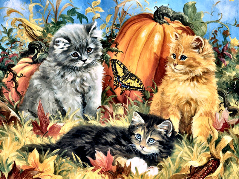 Three Kittens in Autumn — Orange