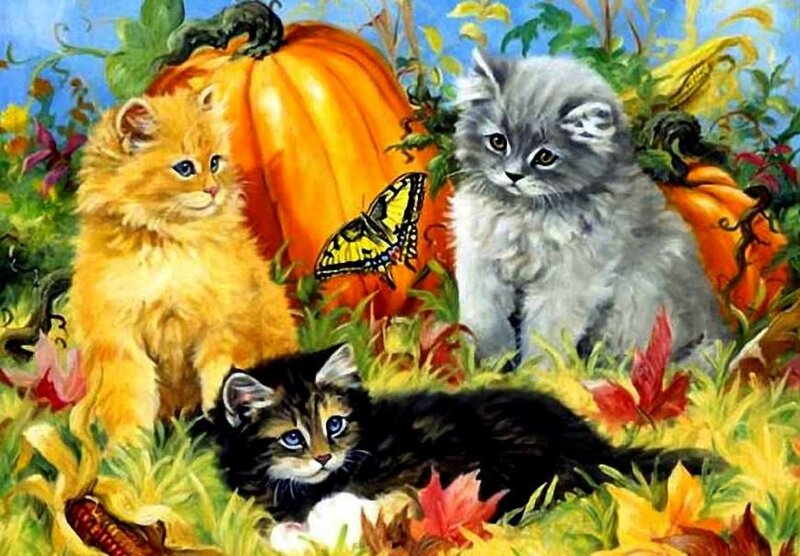 Three Kittens in Autumn