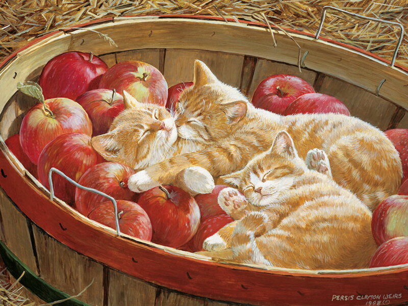 Three Kittens in Basket — Orange, Peaceful