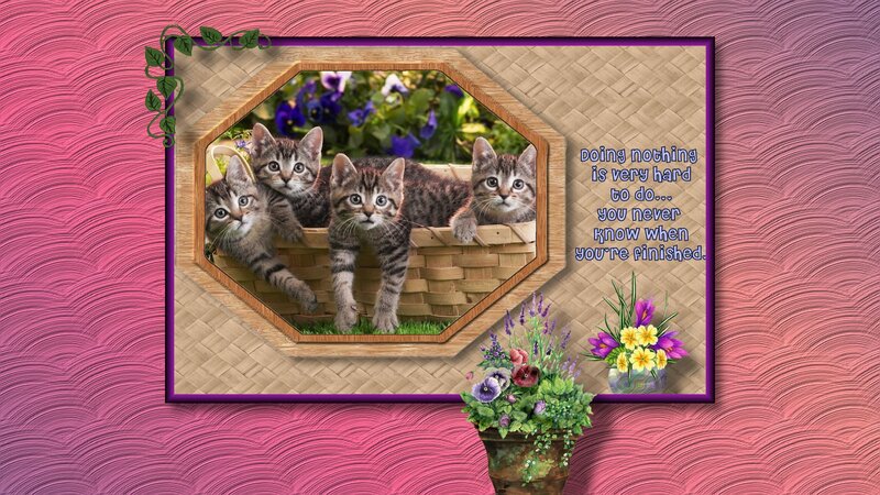 Three Kittens in Basket — Pink, Calm, Spring