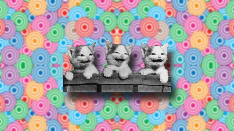 Three Kittens in Basket — Pink, Playful