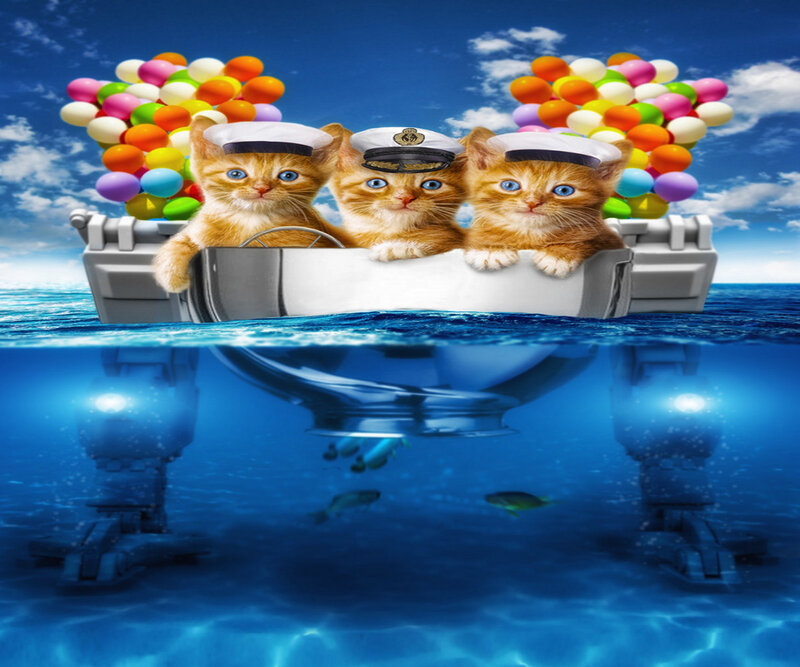 Three Kittens in Boat