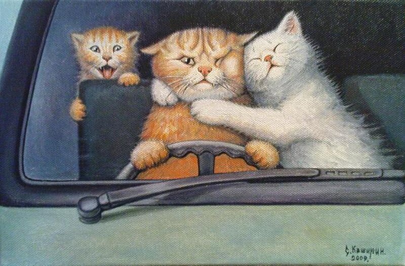 Three Kittens in Car — Orange
