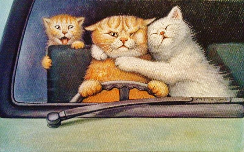 Three Kittens in Car