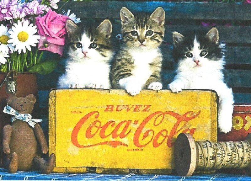 Three Kittens in Crate — Yellow