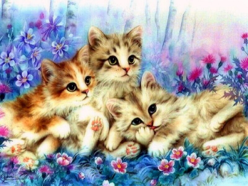 Three Kittens in Flowers — Blue