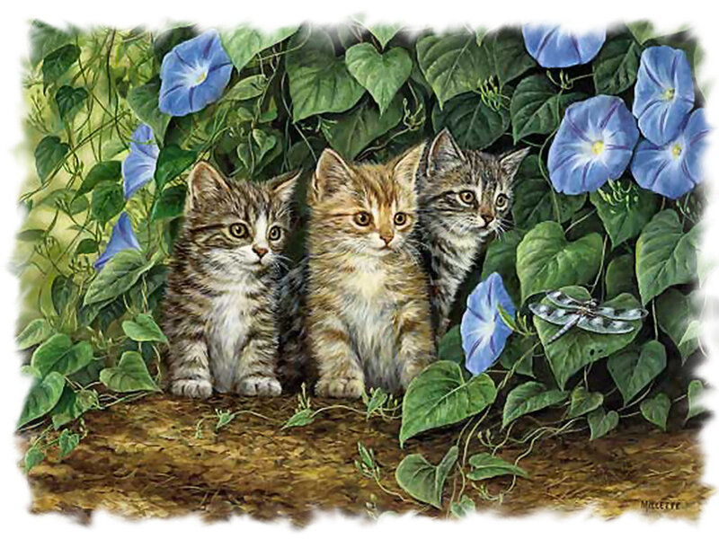 Three Kittens in Flowers
