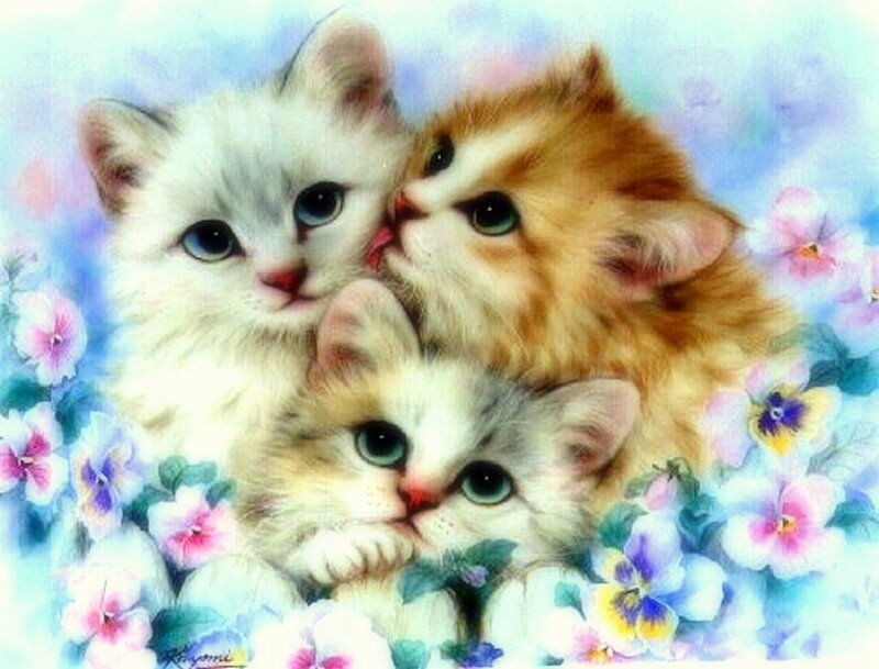 Three Kittens in Flowers — White, Serene