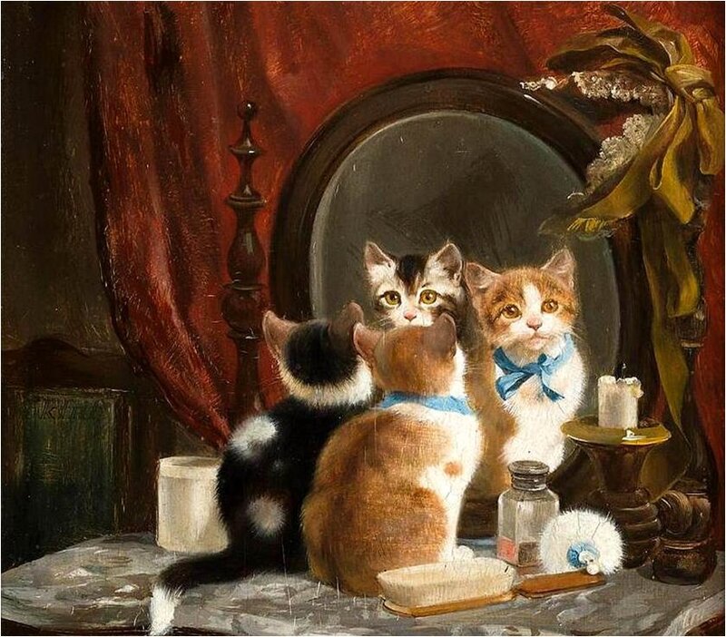 Three Kittens in Front of Mirror