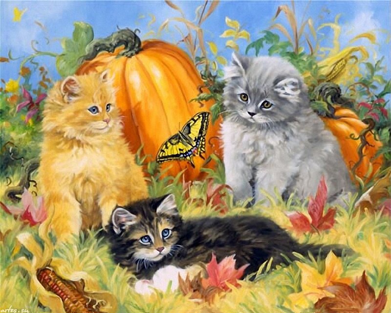Three Kittens in Garden — Orange