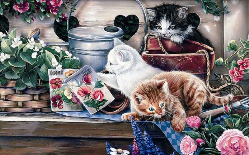 Three Kittens in Garden — White
