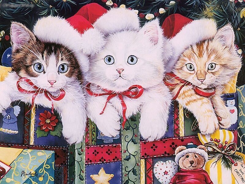 Three Kittens in Hats — White
