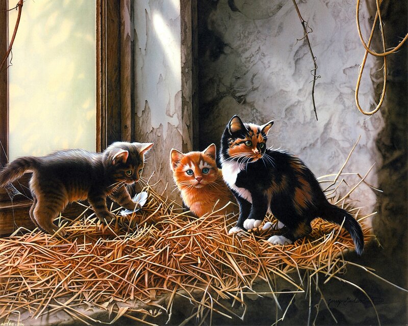 Three Kittens in Hay — Brown, Calm