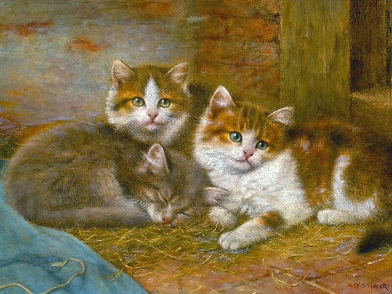 Three Kittens in Hay — Brown