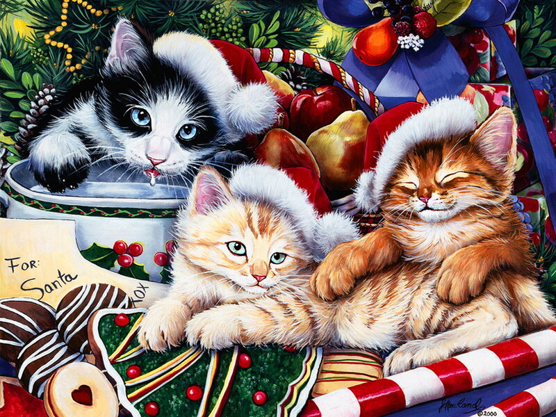 Three Kittens in Santa Hats — Red, Festive