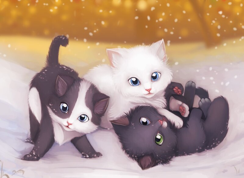 Three Kittens in Snow