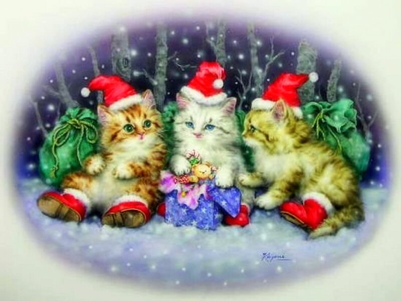 Three Kittens in Snow — White
