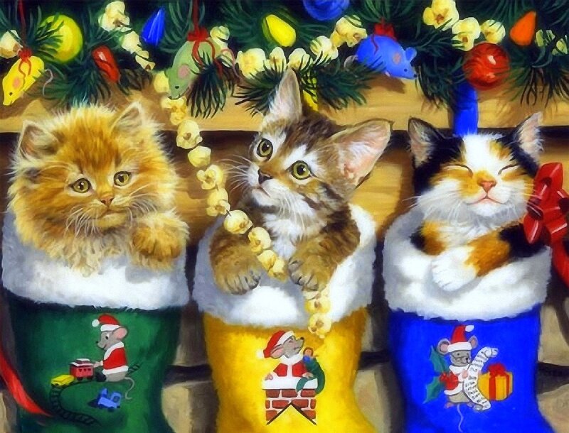 Three Kittens in Stockings — Green, Festive