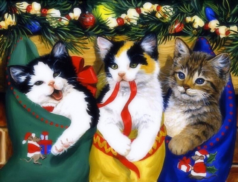 Three Kittens in Stockings — Green, Festive, Winter