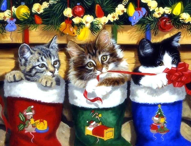 Three Kittens in Stockings — Red, Festive