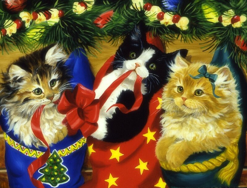 Three Kittens in Stockings — Red