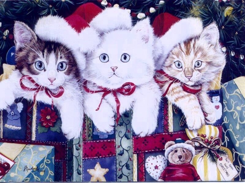 Three Kittens in Stockings — White