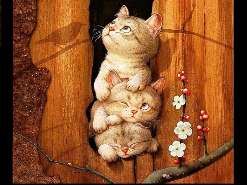 Three Kittens in Tree