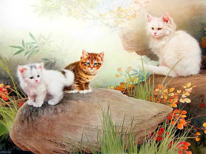 Three Kittens on a Rock — White, Serene