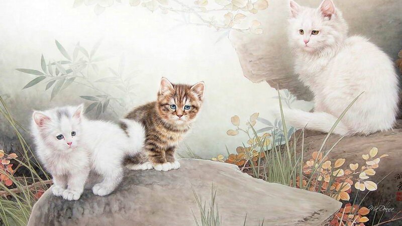Three Kittens on a Rock — White