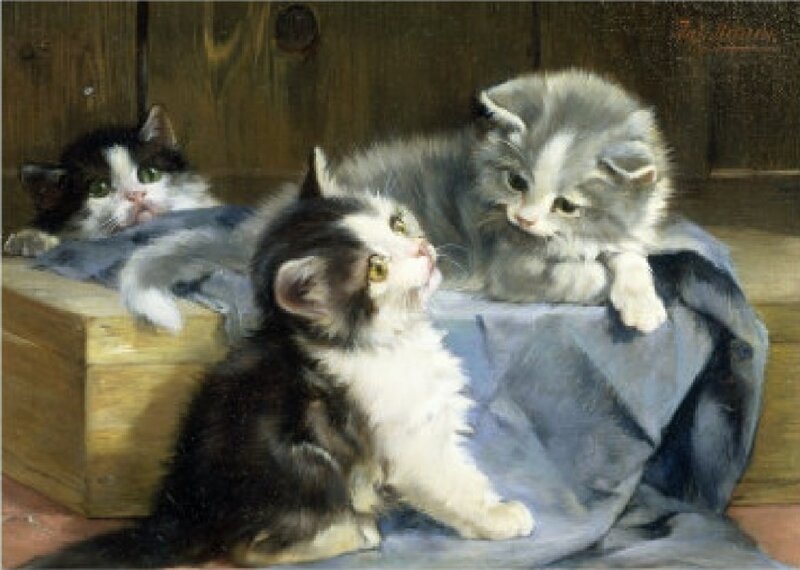 Three Kittens on Blanket — Gray