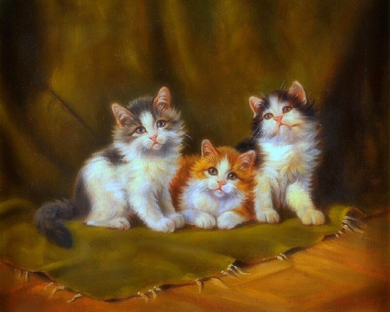 Three Kittens on Blanket — Green