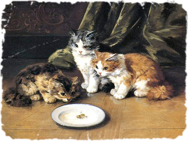 Three Kittens on Floor