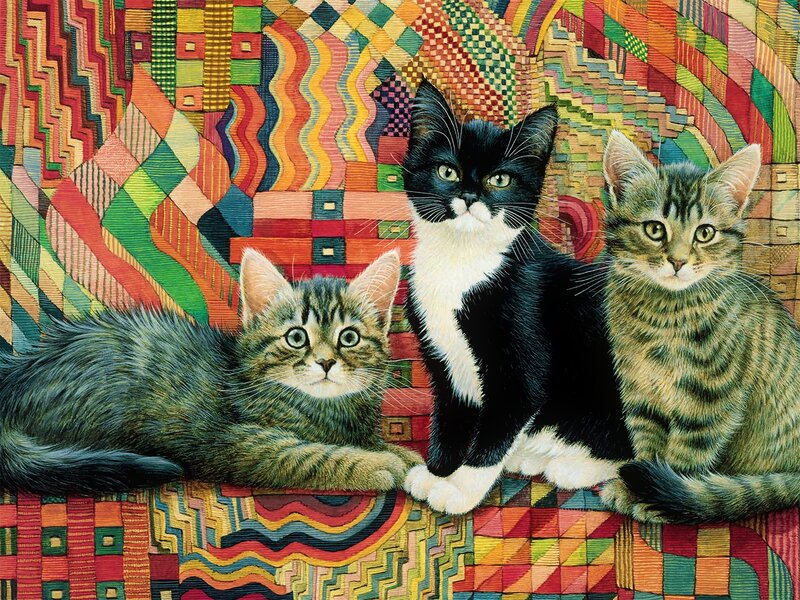 Three Kittens on Quilt