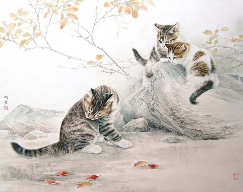 Three Kittens on Rocks