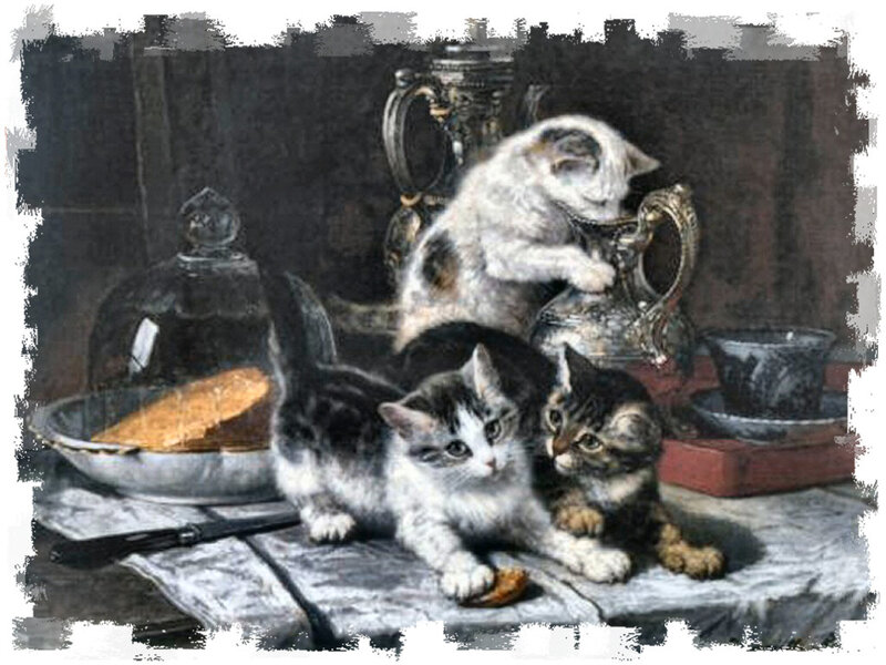 Three Kittens on Table