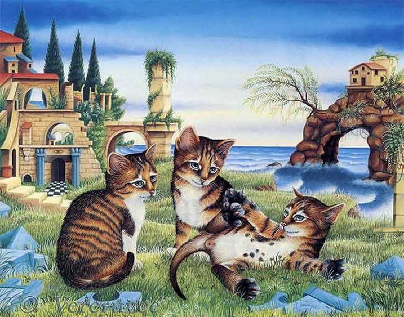Three Kittens Playing