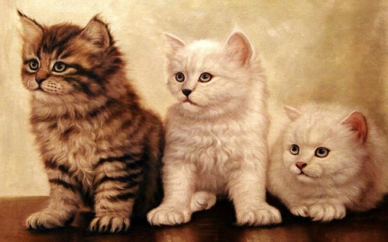Three Kittens Sitting — White, Calm, Painting