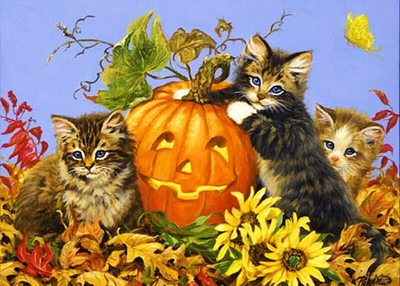 Three Kittens with Pumpkin — Orange