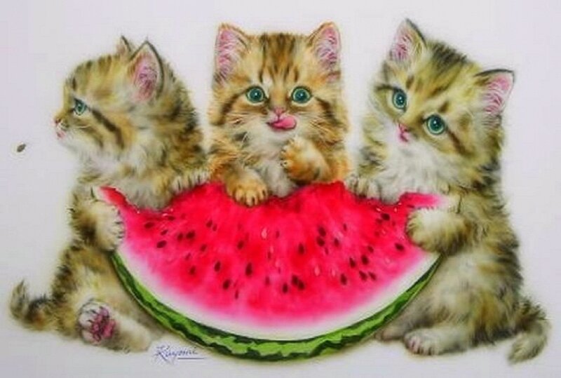Three Kittens with Watermelon