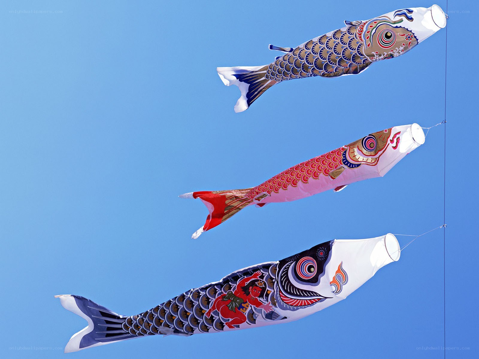 Three koi fish kites in the sky